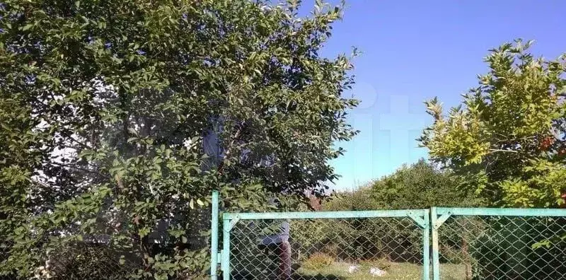 Участок 6,5 сот. (СНТ, ДНП) - Фото 1