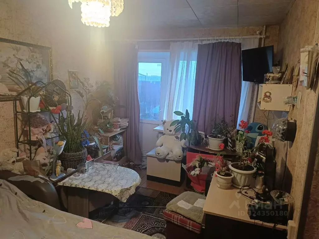 1-к кв. Нижегородская область, Бор ул. Ленина, 144 (30.1 м) - Фото 2