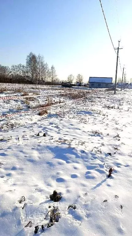 Участок в Новосибирская область, Новосибирский район, Кудряшовский ... - Фото 1