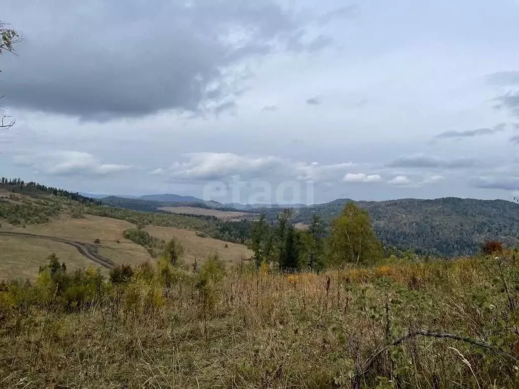 Участок в Алтай, Чемальский район, Элекмонарское с/пос, Седьмое Небо ... - Фото 1