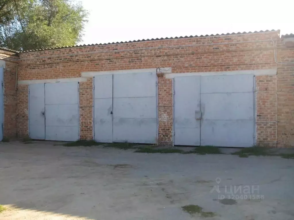 Помещение свободного назначения в Ростовская область, Обливская ст-ца ... - Фото 2