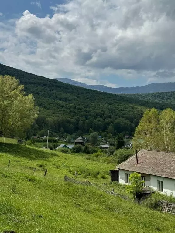 Участок в Алтайский край, Солонешенский район, с. Топольное Больничная ... - Фото 2
