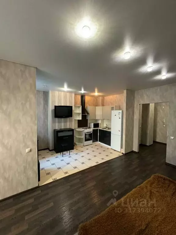 Студия Новосибирская область, Новосибирск ул. Некрасова, 63/1 (41.4 м) - Фото 1