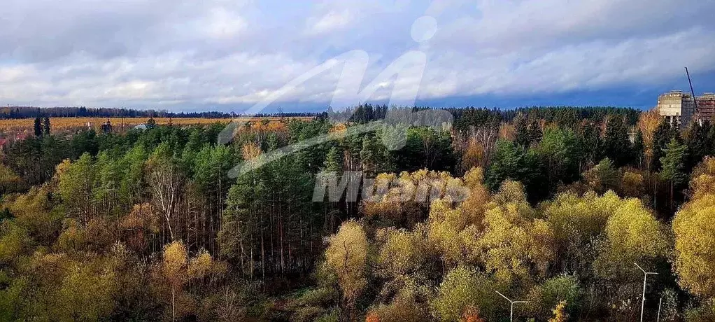 2-к кв. Московская область, Химки Сходня мкр, Первомайская ул., 59 ... - Фото 2