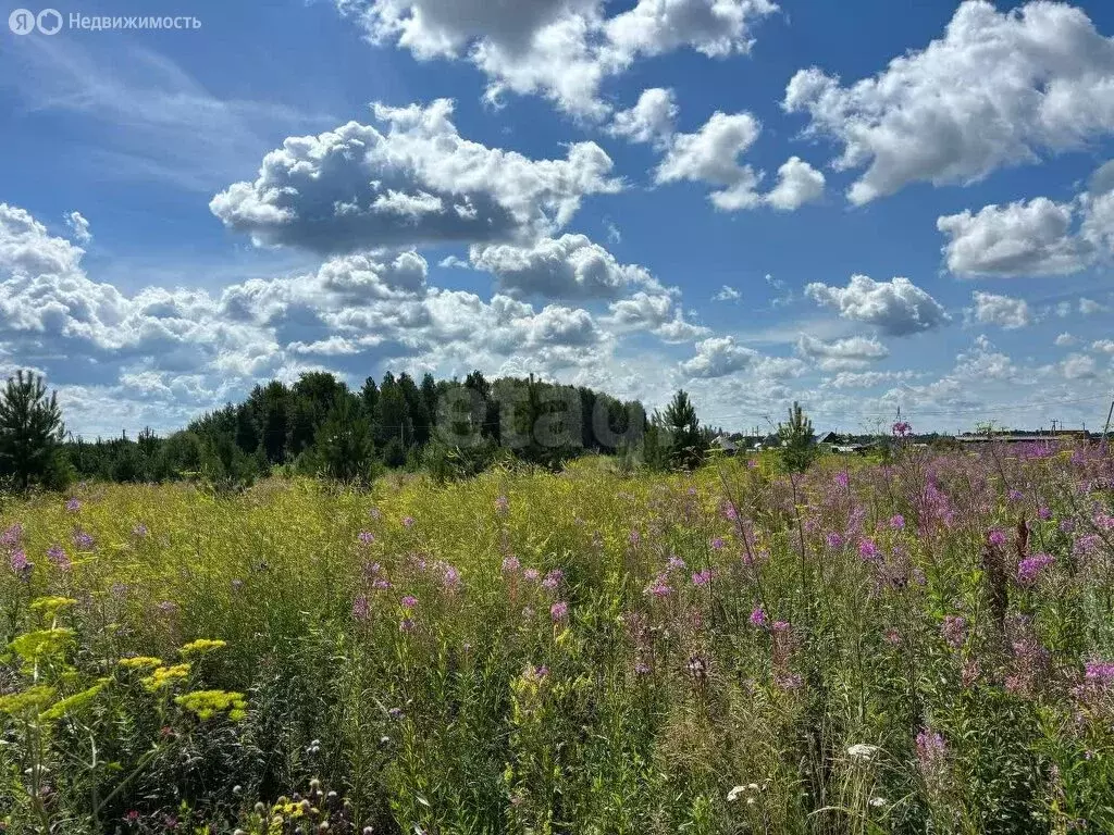 Участок в Тюменский район, деревня Зырянка (15 м) - Фото 1