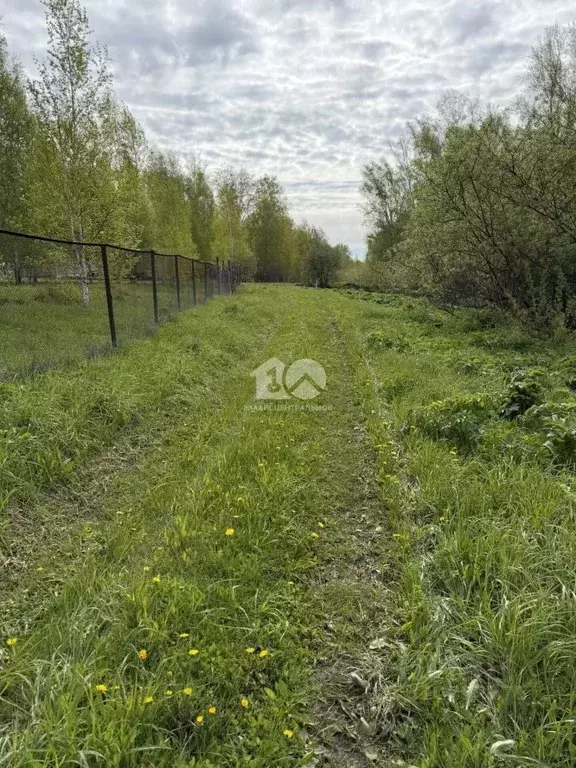 Участок в Новосибирская область, Новосибирский район, Кубовинский ... - Фото 2