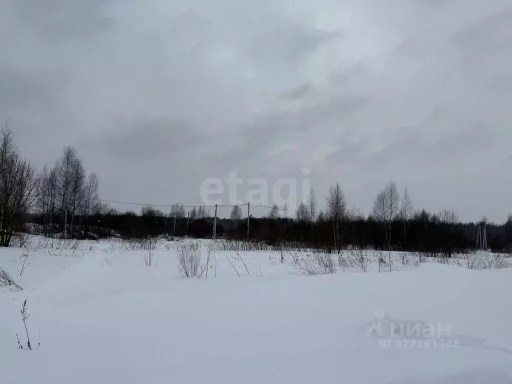 Участок в Костромская область, Кострома Соколиное Гнездо кп,  (8.0 ... - Фото 1