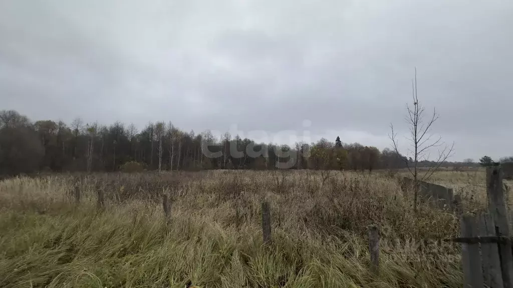 Участок в Брянская область, Брянский район, Стекляннорадицкое с/пос, ... - Фото 2