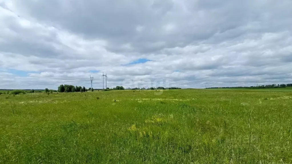 Купить Участок В Рощино Челябинской Области