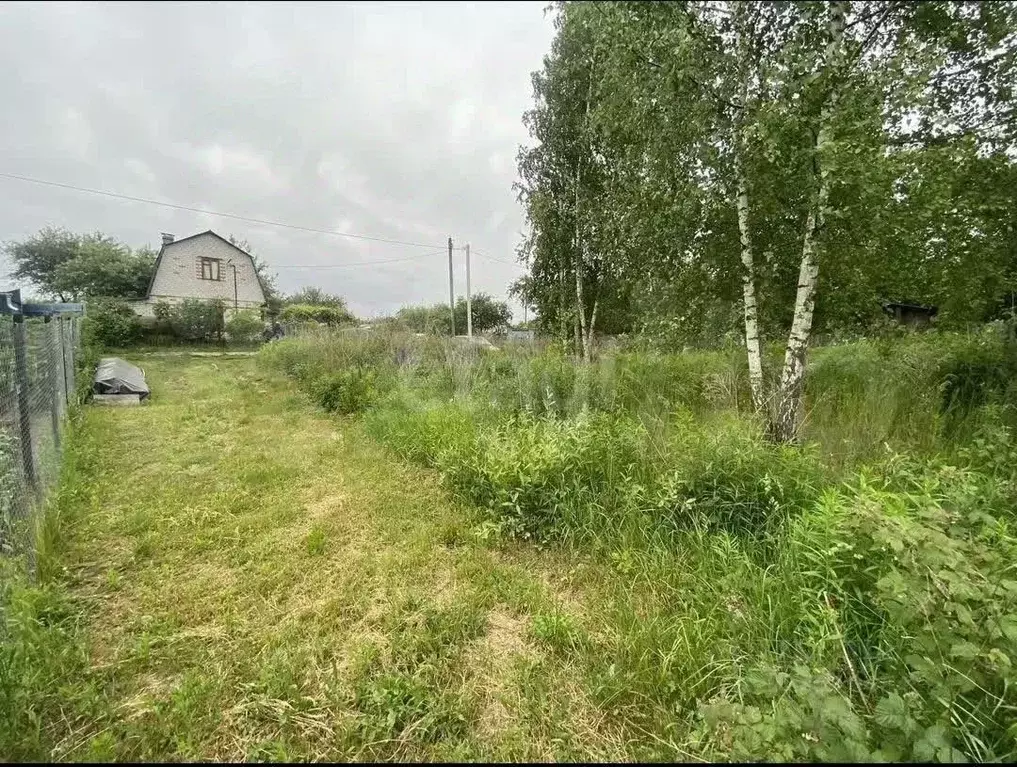 Участок в Брянская область, Брянский район, Снежское с/пос, с. ... - Фото 1
