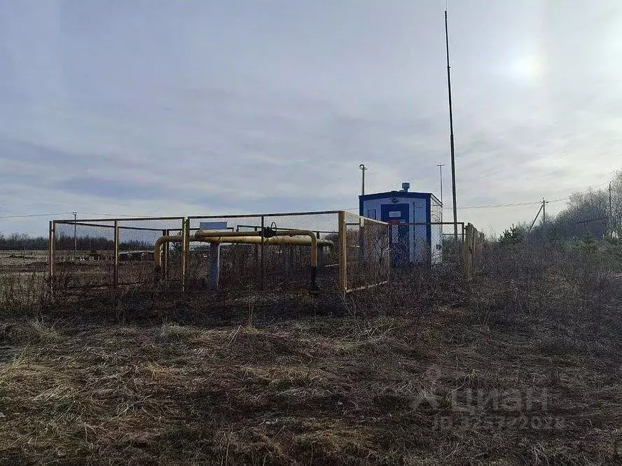 Участок в Ивановская область, Ивановский район, Беляницкое с/пос, д. ... - Фото 1