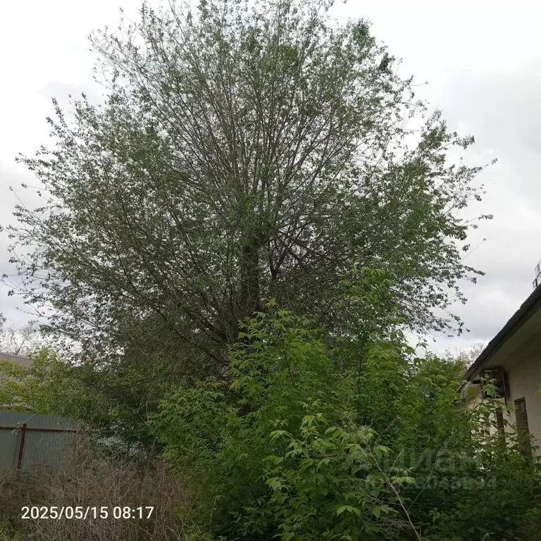 Помещение свободного назначения в Оренбургская область, Оренбург ... - Фото 1