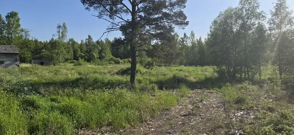 Участок в Ленинградская область, Выборгский район, Гончаровское с/пос  ... - Фото 1