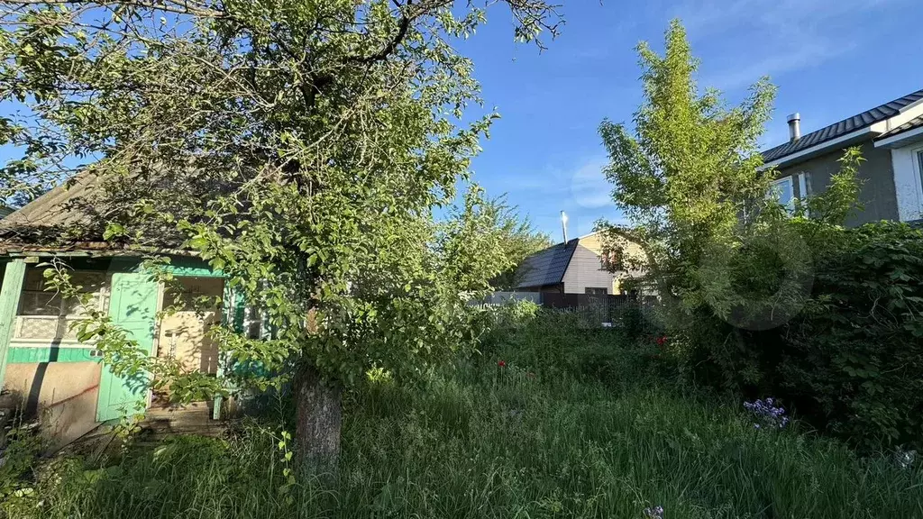 Участок 6,1 сот. (СНТ, ДНП) - Фото 1