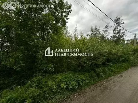 Участок в Ленинградская область, Гатчинский муниципальный округ, СНТ ... - Фото 2