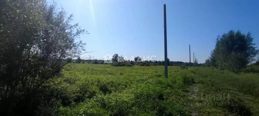 Участок в Калининградская область, Зеленоградский муниципальный округ, ... - Фото 2