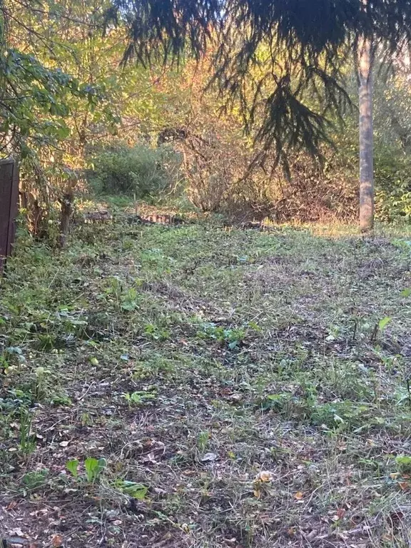 Участок в Московская область, Голицыно Одинцовский городской округ, ... - Фото 1