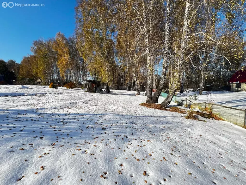 Участок в Бердск, СНТ Луговое-1 (17 м) - Фото 0