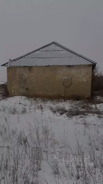 Помещение свободного назначения в Саратовская область, ... - Фото 1