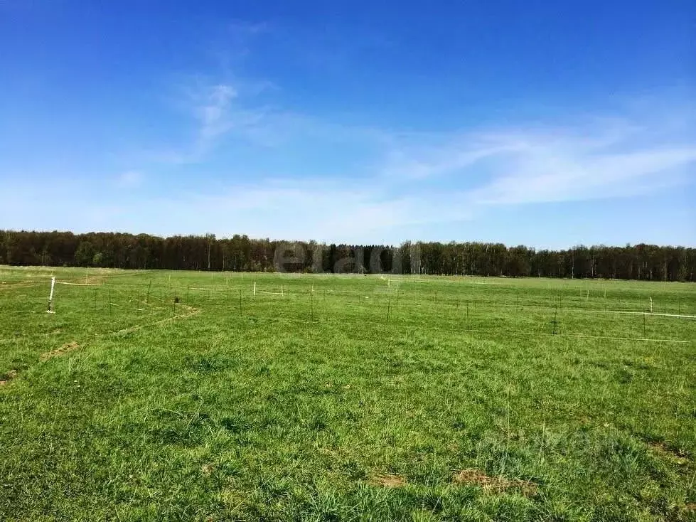Участок в Ростовская область, Азовский район, Елизаветинское с/пос, ... - Фото 1
