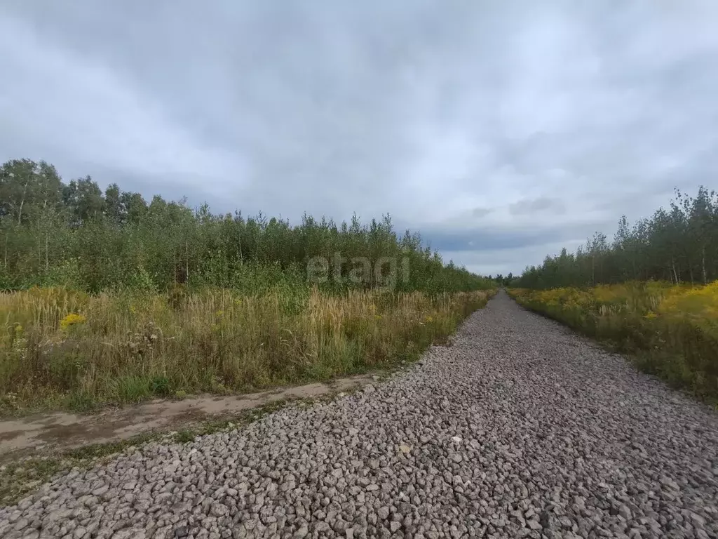 Участок в Липецкая область, Липецк ул. Воскресенская (10.0 сот.) - Фото 1