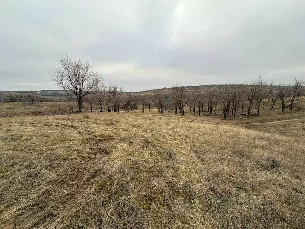 Участок в Волгоградская область, Городищенский район, Царицынское ... - Фото 1