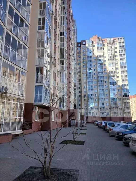Студия Воронежская область, Воронеж ул. Артамонова, 34Ж (19.3 м) - Фото 1