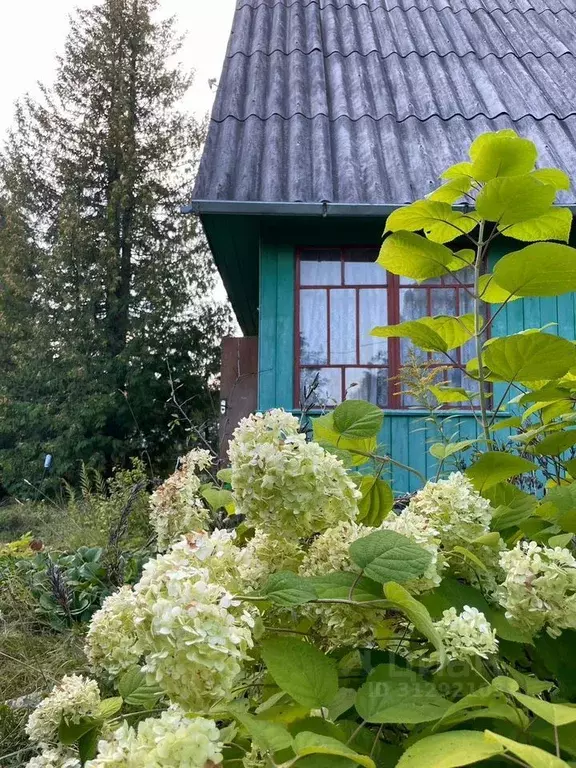 Дом в Ленинградская область, Лужский район, Мшинское с/пос, Дивенская ... - Фото 0