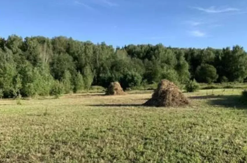 Боровский Район Купить Участок Земли