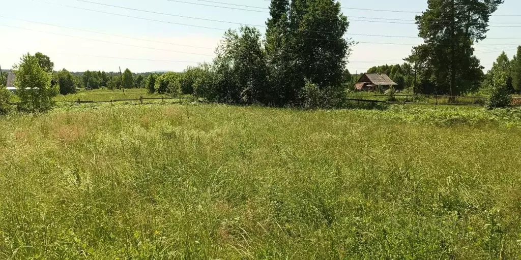 Участок в Алтай, Турочакский район, с. Дмитриевка Рабочая ул. (27.0 ... - Фото 1