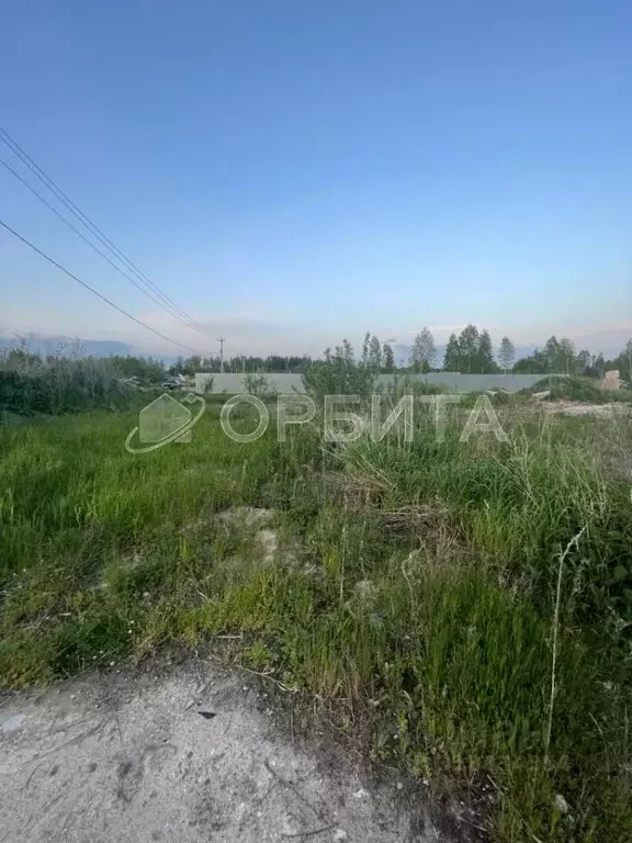 Участок в Тюменская область, Нижнетавдинский район, с. Тюнево  (10.0 ... - Фото 0