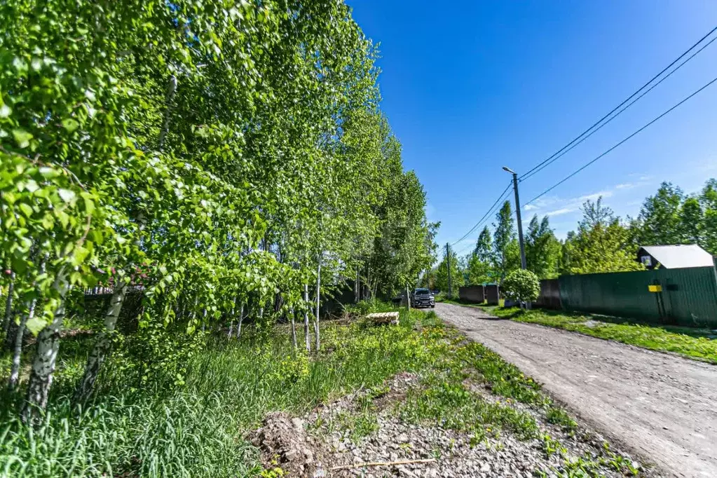 Участок в Новосибирская область, Искитимский район, Мичуринский ... - Фото 2