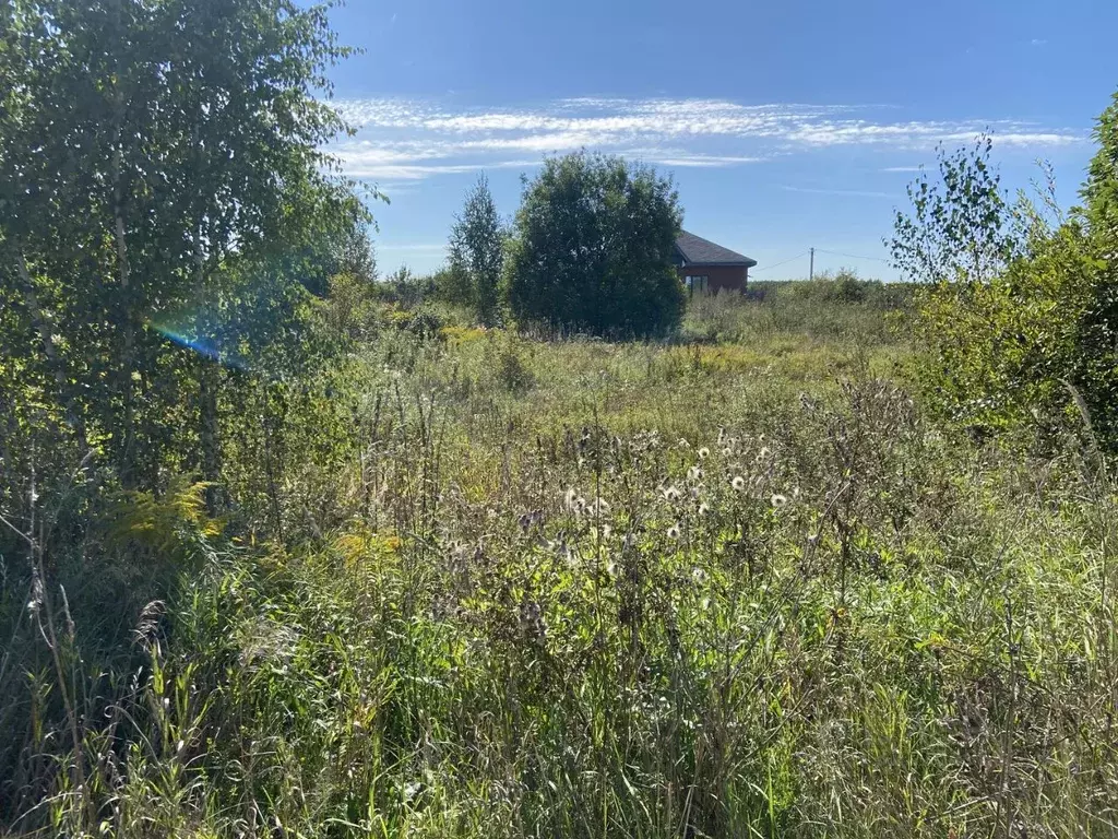 Участок в Нижегородская область, Бор муниципальный округ, д. ... - Фото 2