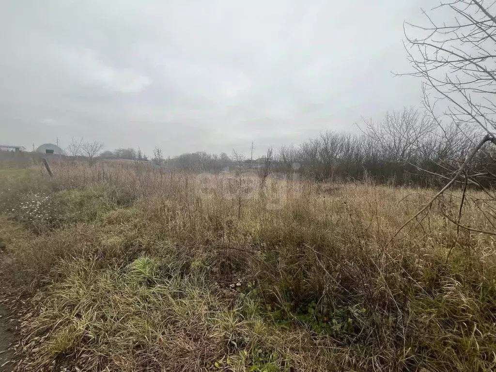 Участок в Белгородская область, Белгородский район, с. Стрелецкое, с. ... - Фото 1