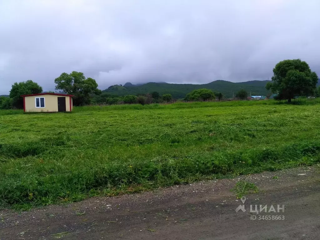 Участок николаевка. Николаевка (Партизанский район). Участок земли в Николаевке партизанского района. Посёлок Николаевка ул Лазо.