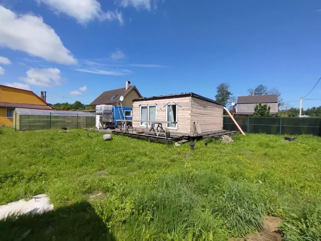 Участок в Калининградская область, Светлогорск Радуга СНТ, 6-я линия ... - Фото 1