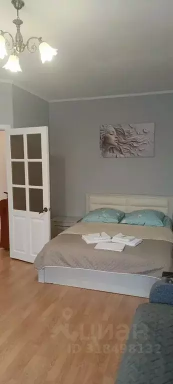 1-к кв. Ростовская область, Аксай Садовая ул., 31 (40.0 м) - Фото 2