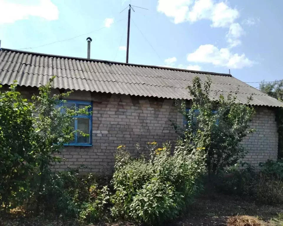 Погода в подколки оренбургская область. Погода в подколки оренбургская область. Бузулук село державино. Погода в подколки оренбургская область. Село подколки.