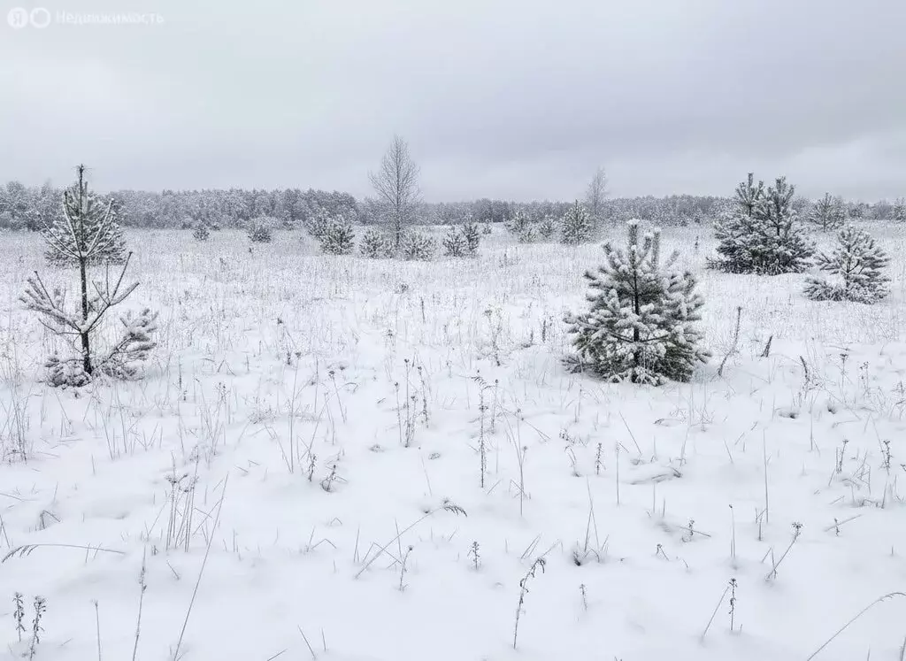 Участок в Тульская область, городской округ Алексин, деревня Мясоедово ... - Фото 2