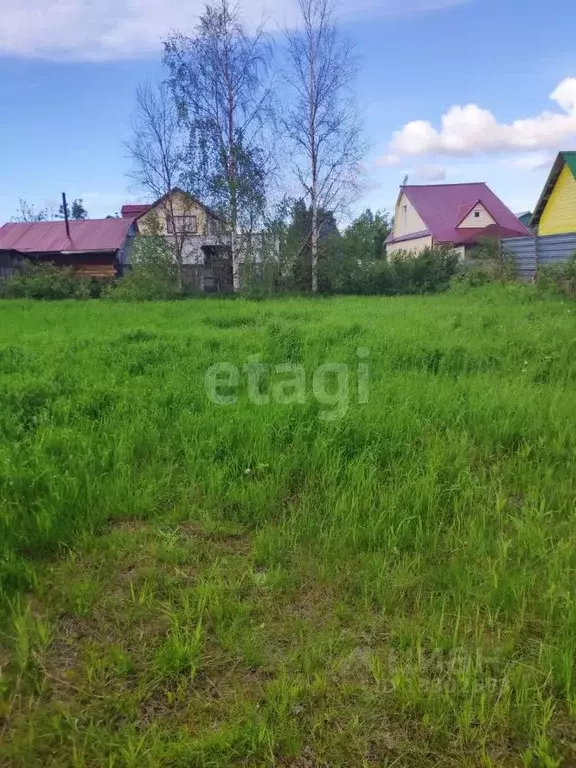 Участок в Ханты-Мансийский АО, Сургутского муниципального района тер., ... - Фото 1