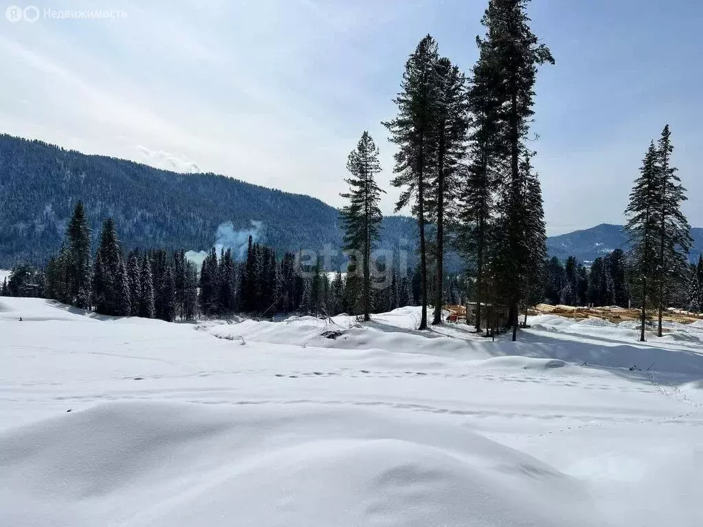 Участок в Турочакский район, село Артыбаш (97 м) - Фото 1