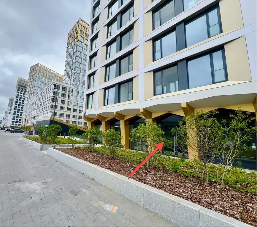 Помещение свободного назначения в Санкт-Петербург ул. Челюскина, 10 ... - Фото 2