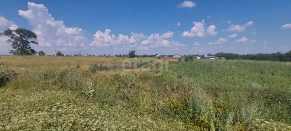 Участок в Воронежская область, Борисоглебский городской округ, с. ... - Фото 0
