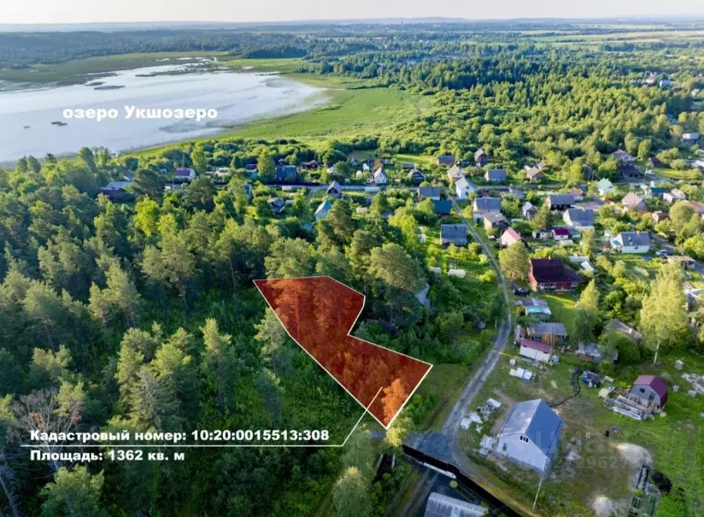 Участок в Карелия, Прионежский район, Шуйское с/пос, Лесовод СНТ пер. ... - Фото 2