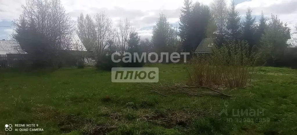 Участок в Вологодская область, Вологда пер. Рябиновый (10.0 сот.) - Фото 2