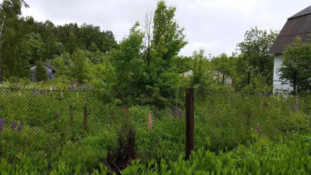 Участок в Московская область, Коломна городской округ, д. Кудрявцево ... - Фото 0