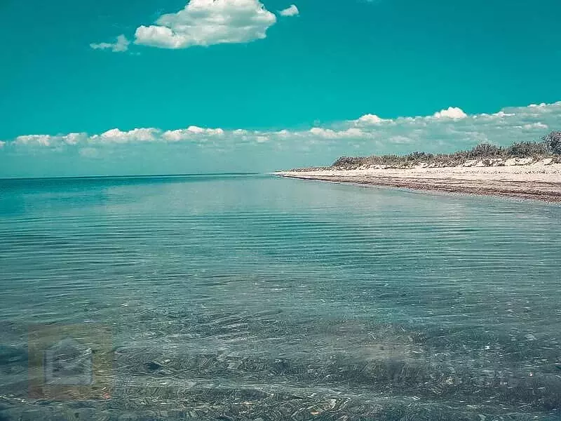 Участок в Крым, Евпатория городской округ, Новоозерное пгт  (5.25 ... - Фото 1