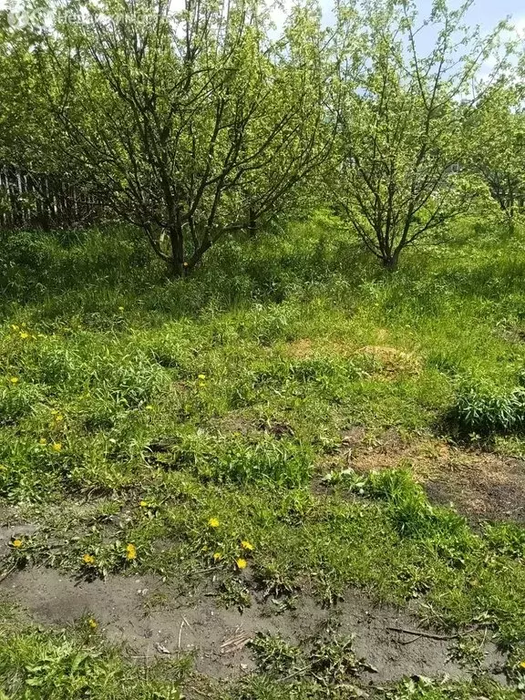 Участок в Пензенский район, Воскресеновский сельсовет, СНТ Малиновка, ... - Фото 1
