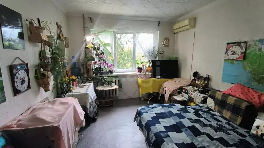 Комната Краснодарский край, Геленджик ул. Кирова, 66 (18.3 м) - Фото 0