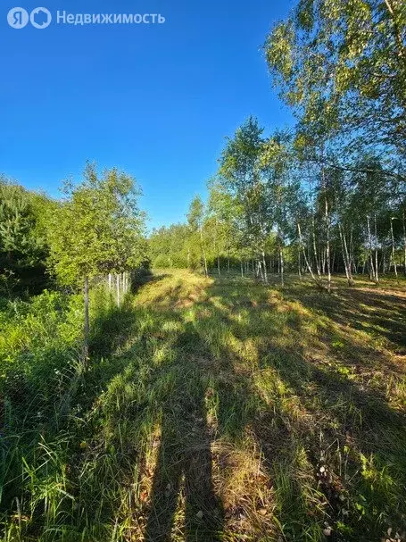 Участок в Московская область, Руза (35 м) - Фото 2